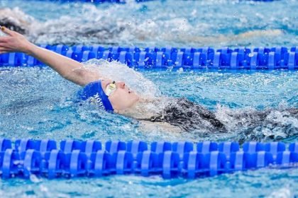 Nanooks Swimming
