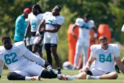 Dolphins fans