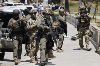 Immigration Agents