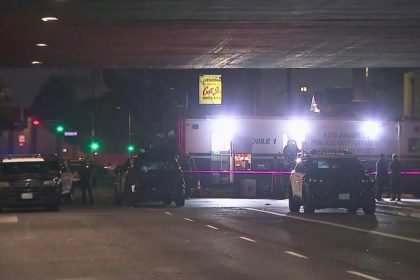 LAPD shooting