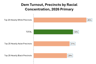 Democratic turnout