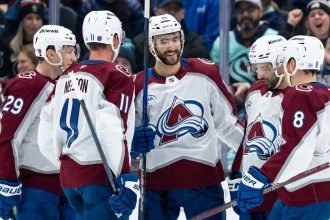 Avalanche's Offseason
