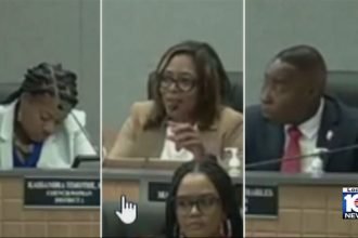 North Miami council