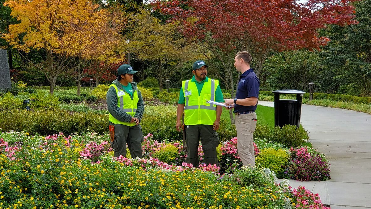 landscaping company