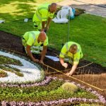 landscaping company