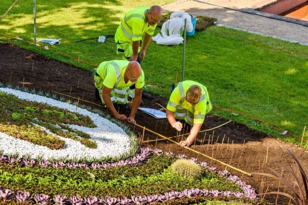 landscaping company