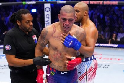 Alex Pereira heavyweight