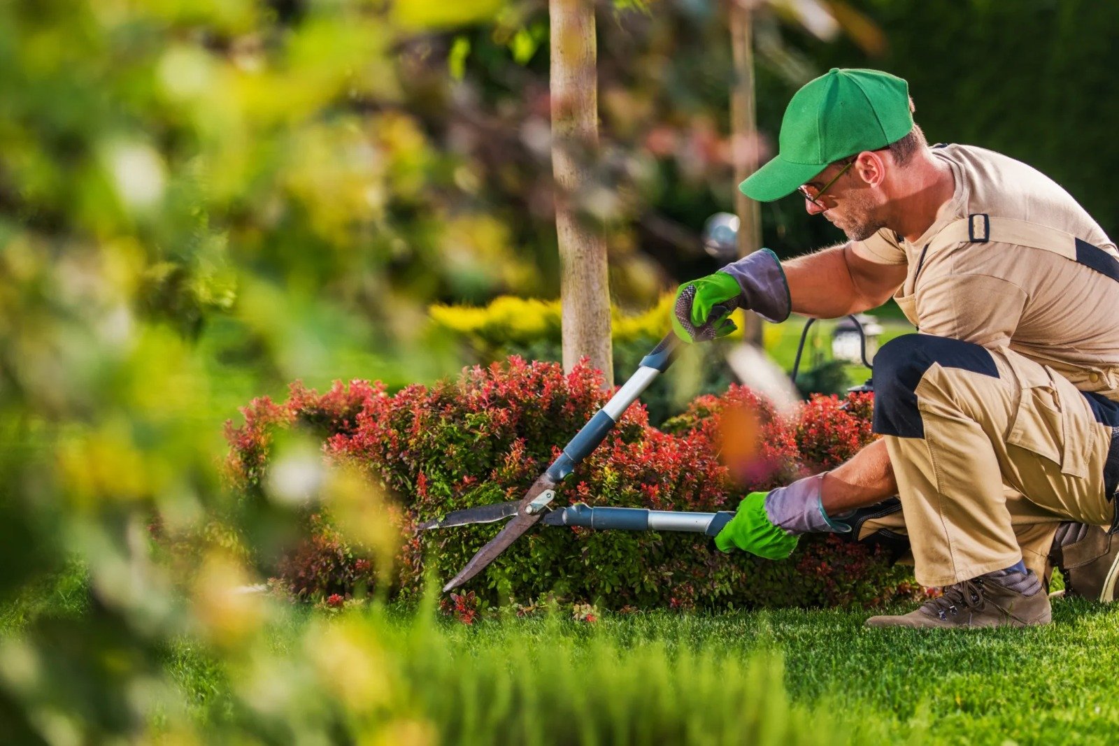landscaping services
